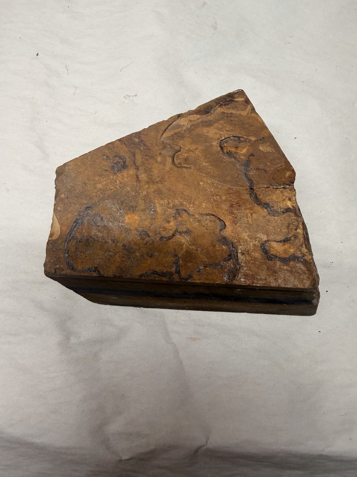 Natural Double Sided Flash Tiger’s Eye Stone Rock Specimen Rough 2.7 POUNDS