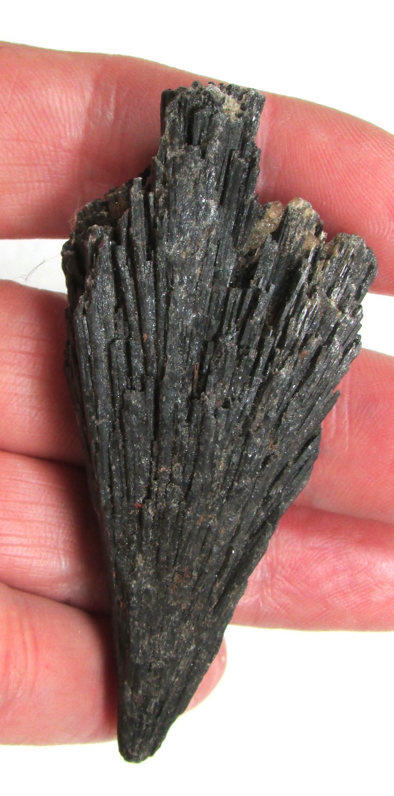 Black Kyanite Blade / Wing from Brazil Mica and Quartz Attached Celtic Cross