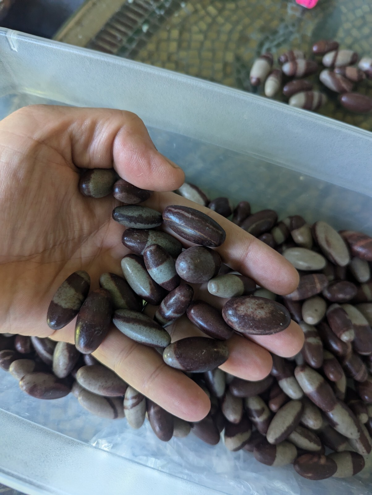 40pcs 1″ Shiva Lingam Stone, Bulk Linghams Wholesale