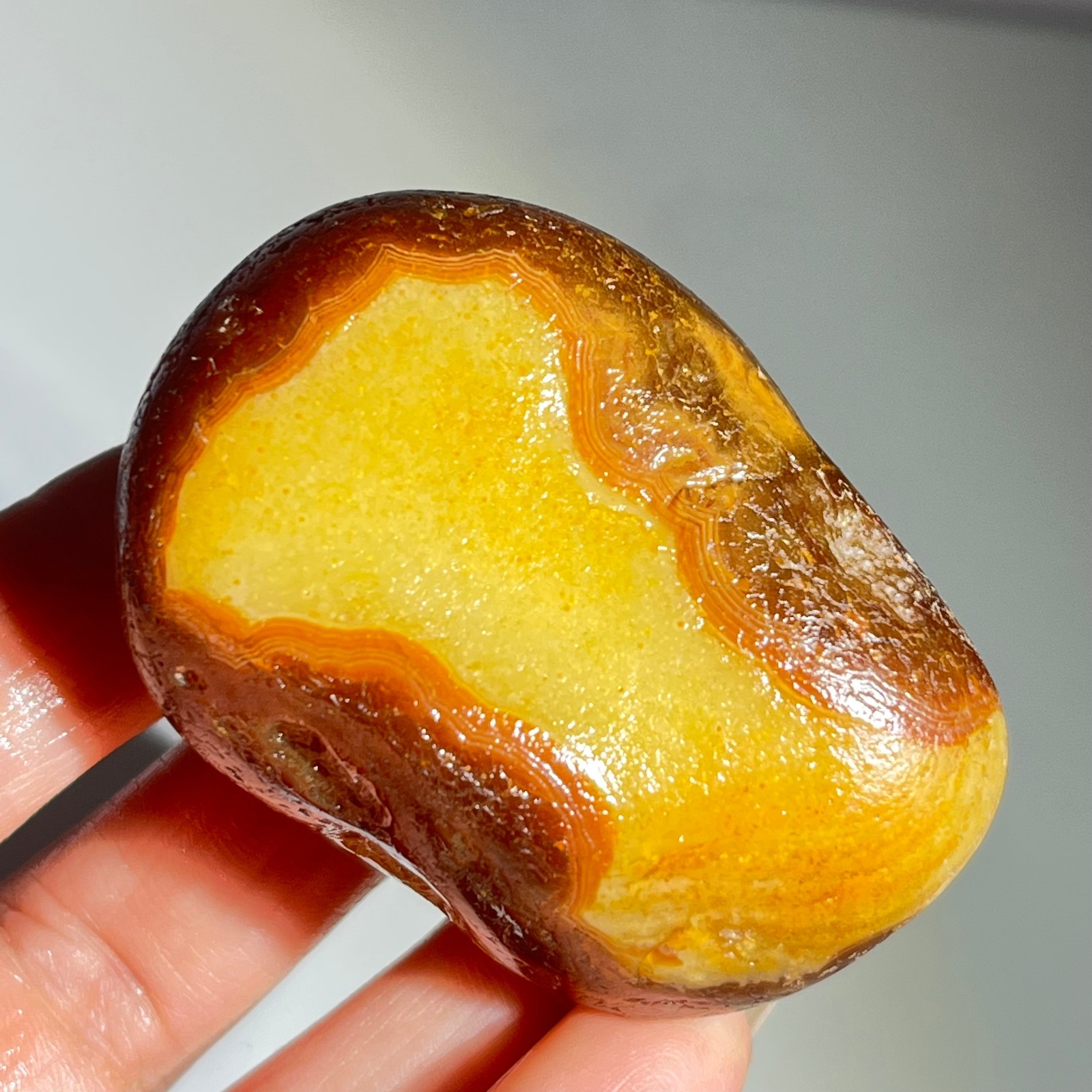 106g Bonsai Suiseki-Natural Gobi Agate Eyes Stone-Rare Stunning Viewing