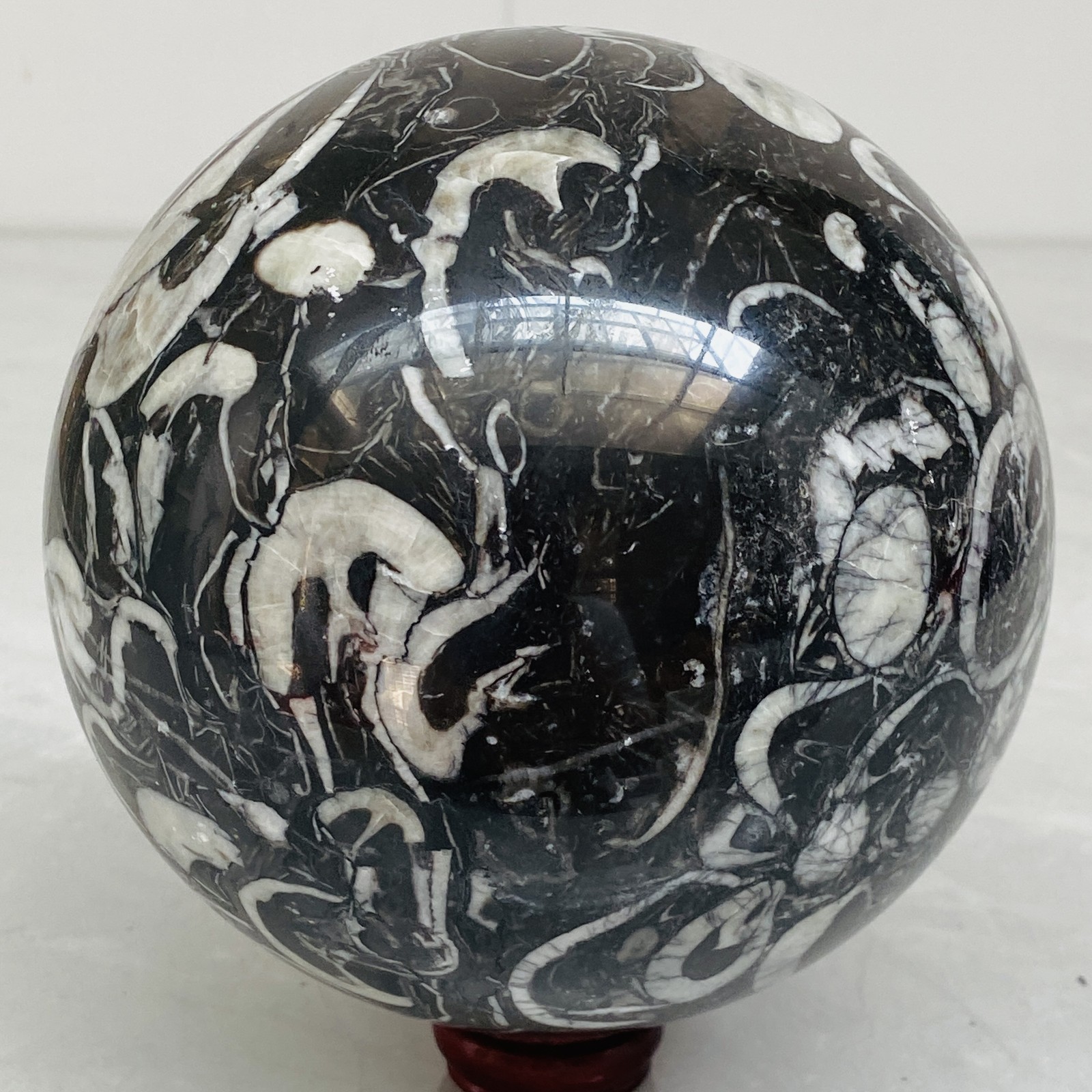 Natural Shell Jasper Thousand Eye Stone Crystal Polished Ball Healing (8.02LB)
