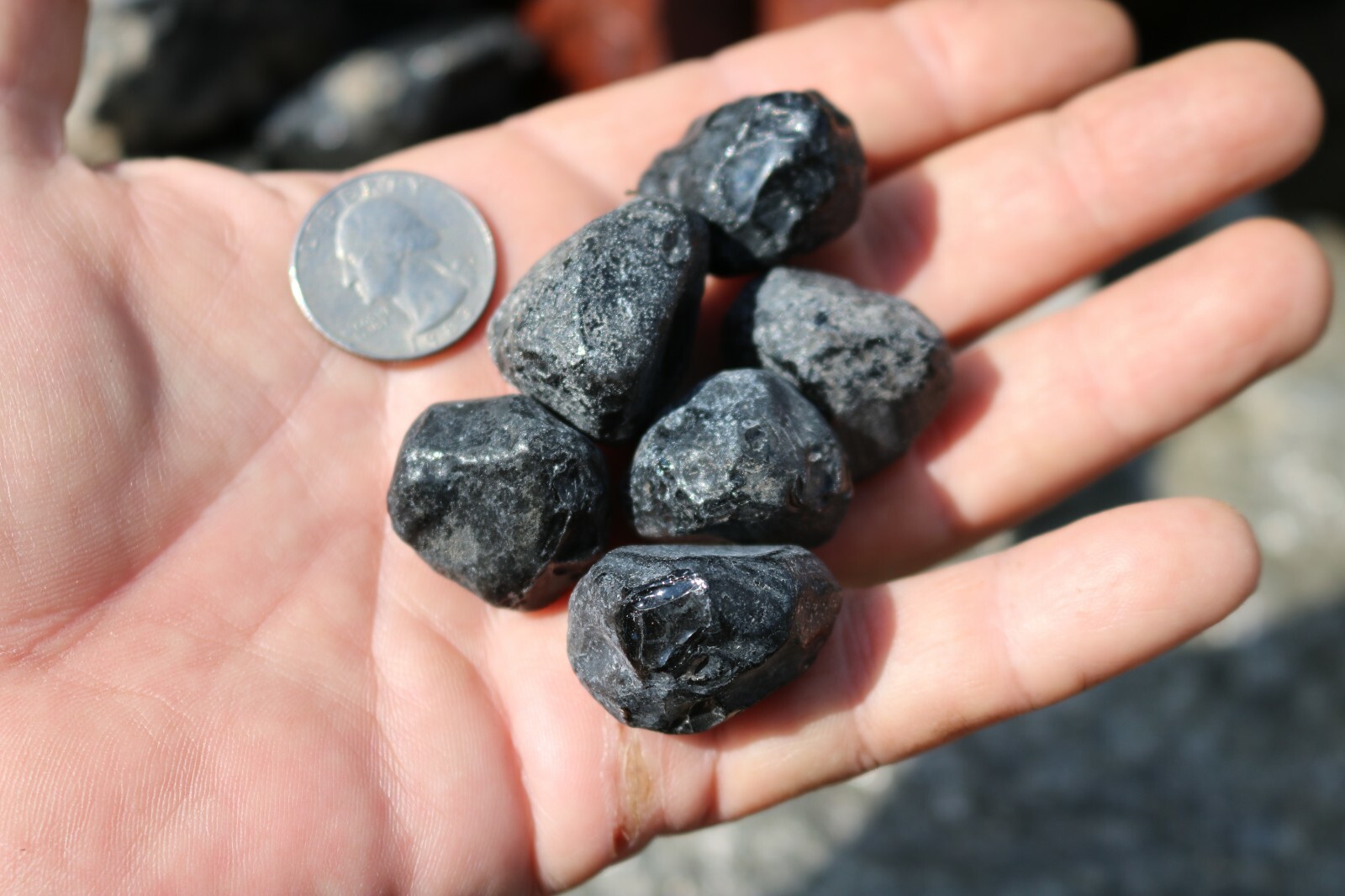6 Large Apache Tears Natural Obsidian Healing Stone US Seller FREE Ship!