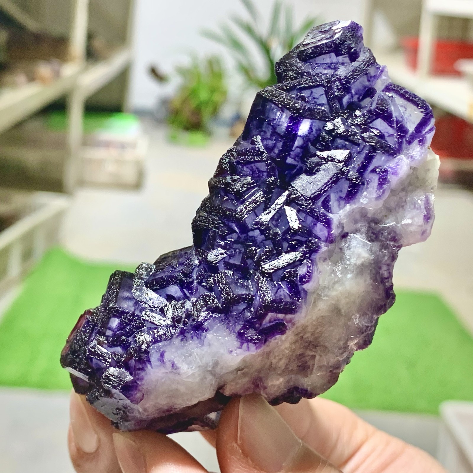 211G Inner Mongolia Natural Fluorite Purple Edged Cube Crystal Mineral Specimen