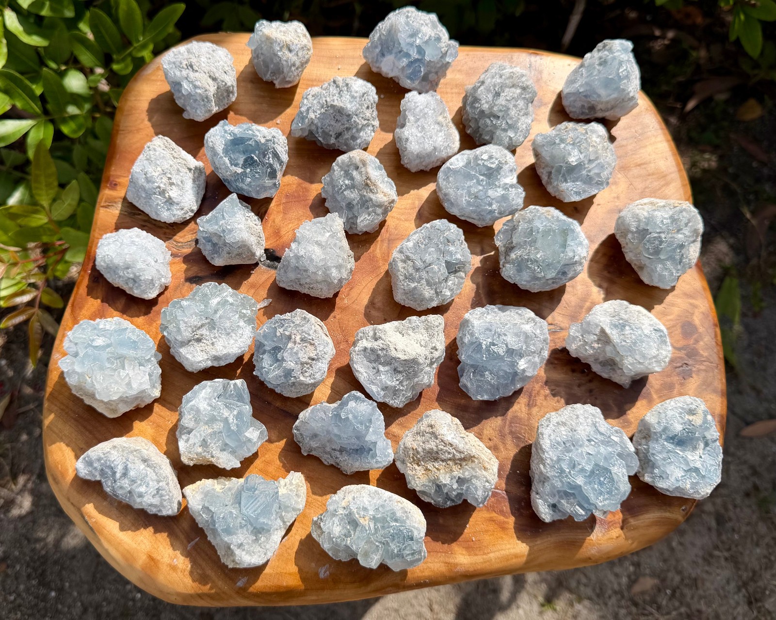 Natural Small Celestite Clusters CLEARANCE Bulk Wholesale Lots (‘B’ Grade)