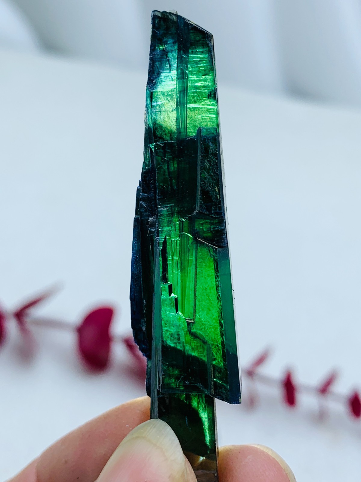 13G Raw Natural Vivianite Deep Green Crystal Rare Healing Specimen From Brazil
