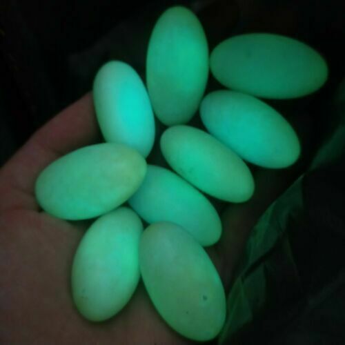 1pc Glow In The Dark Tibetan Wealth God Ancient Luminous Egg Stone Old Dzi Bead