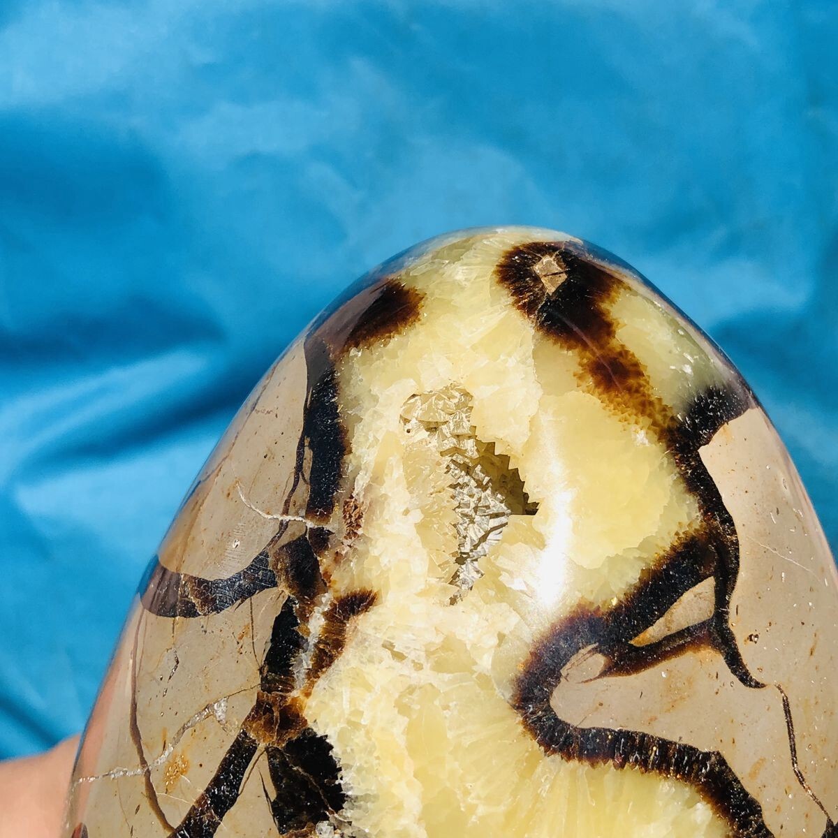 3390G natural turtle shell stone egg spiritual healing KH2124