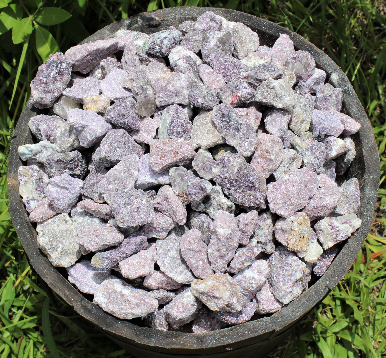 Lepidolite Rough Natural Stones: Choose How Many (Raw Crystals, Raw Lepidolite)