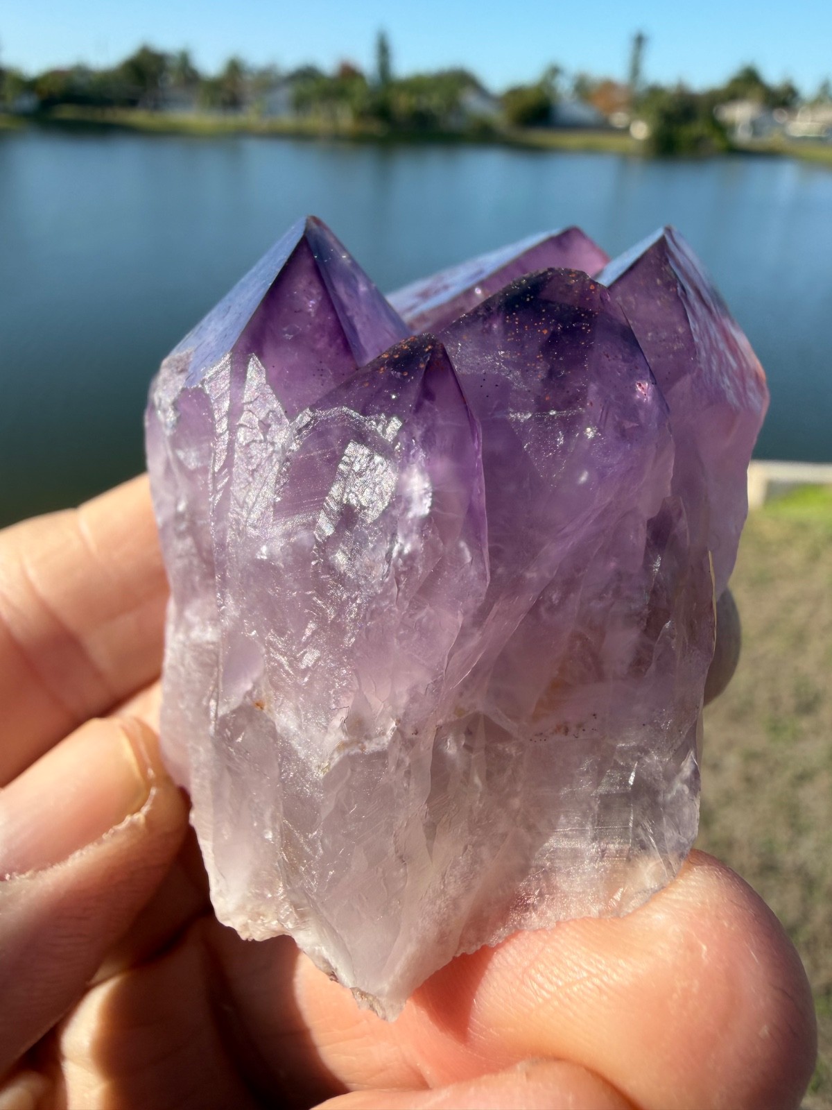 Rare Auralite 23 Crystal Multi Cluster Point from Canada 114 grams 2″