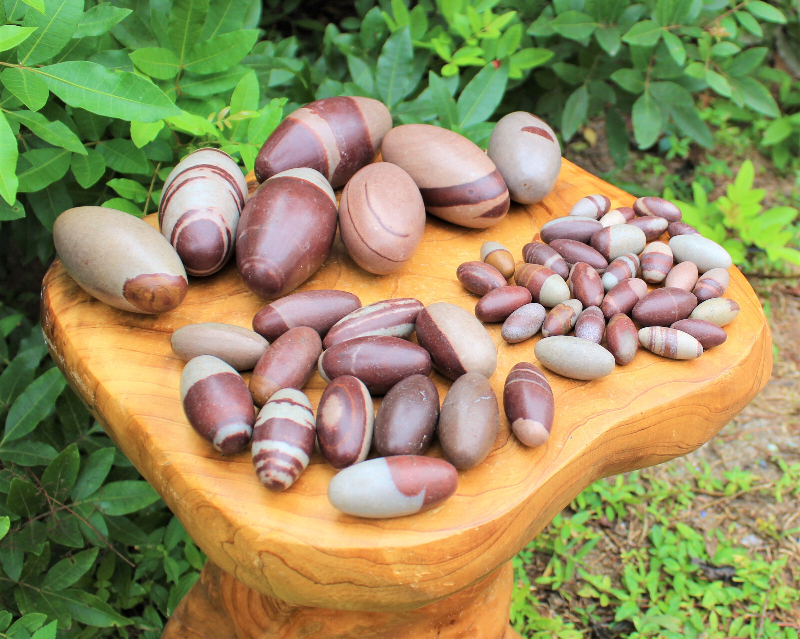 One Shiva Lingam Stone, Small 1″ – 1.25″ size (Healing Crystals, Shiva Lingham)