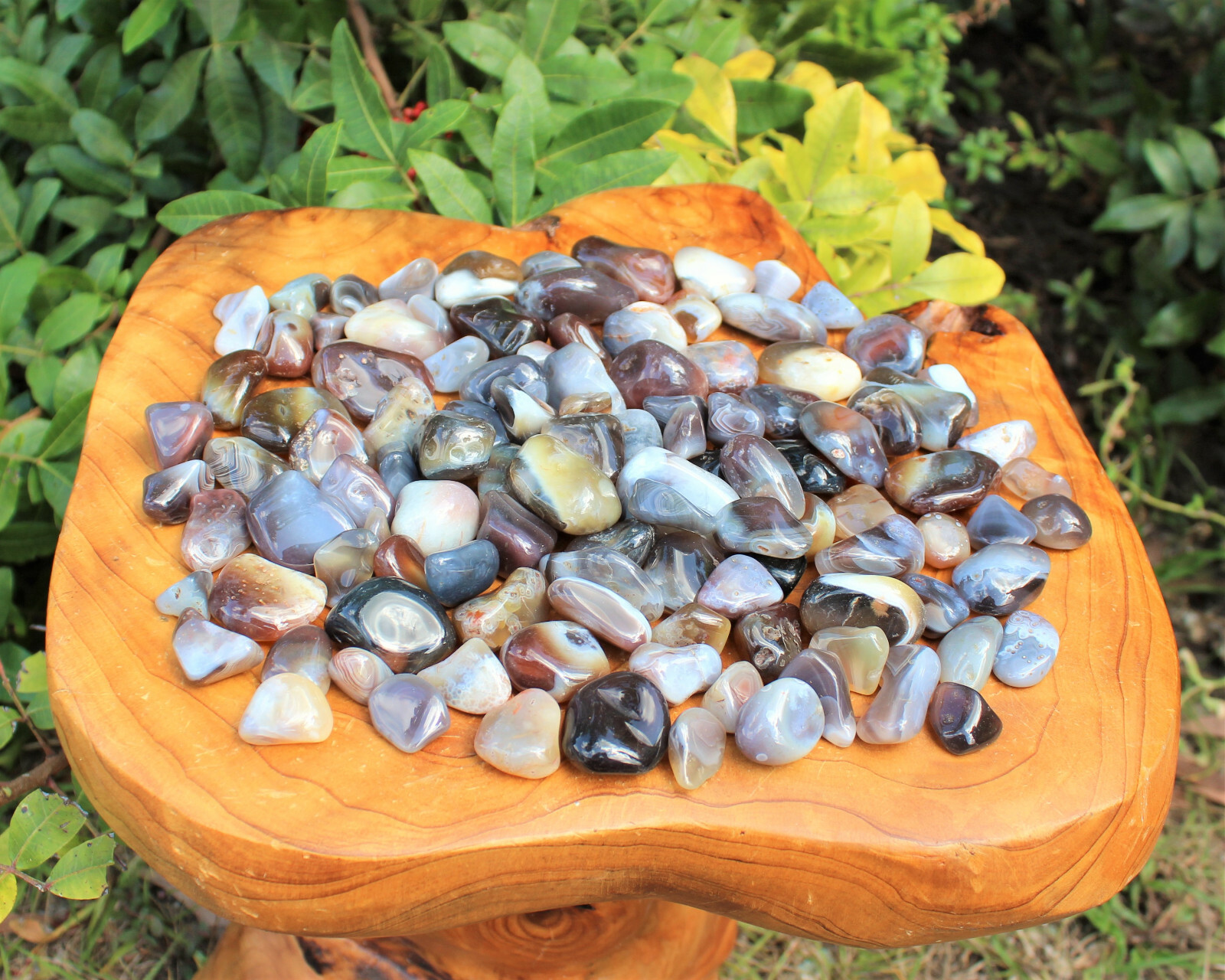 1/2 lb Bulk Lot Botswana Gray Agate Tumbled Stone Crystal Gemstone Grey 8 oz