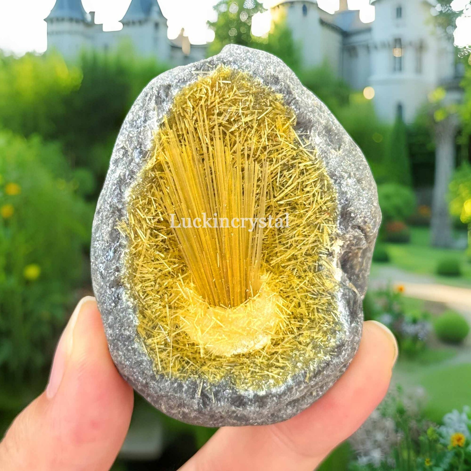 Natural Raw Magnetite Goethite Yellow Copper Ore Mineral Cluster Geode Specimens
