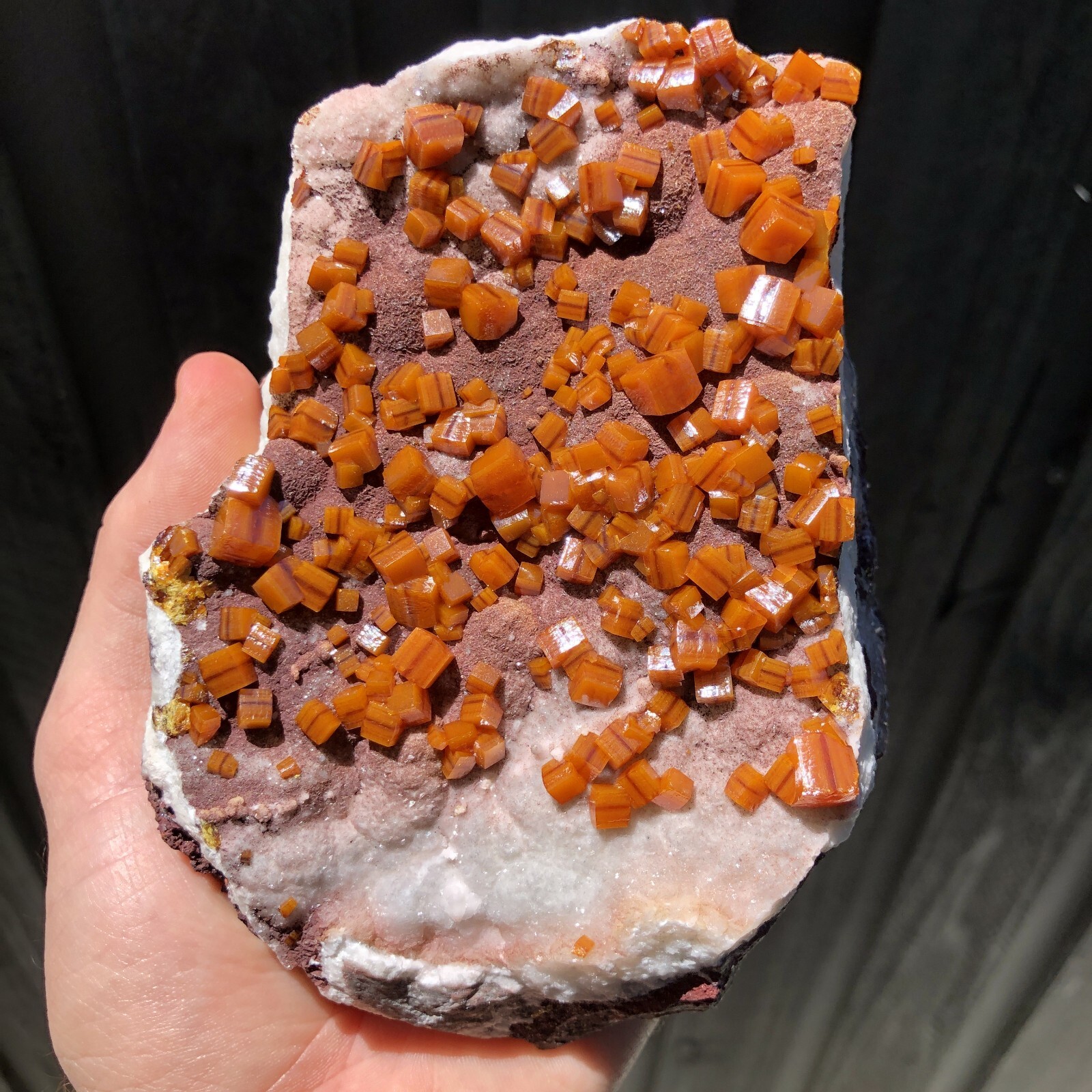 13.6cm Wulfenite on Descloizite and Calcite Matrix from Los Lamentos Mts, Mexico