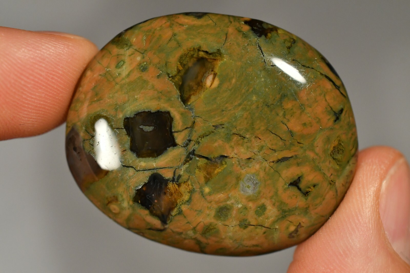 RHYOLITE Palm Stone 4.3cm 30g Flat Rainforest Jasper Healing Change Progress