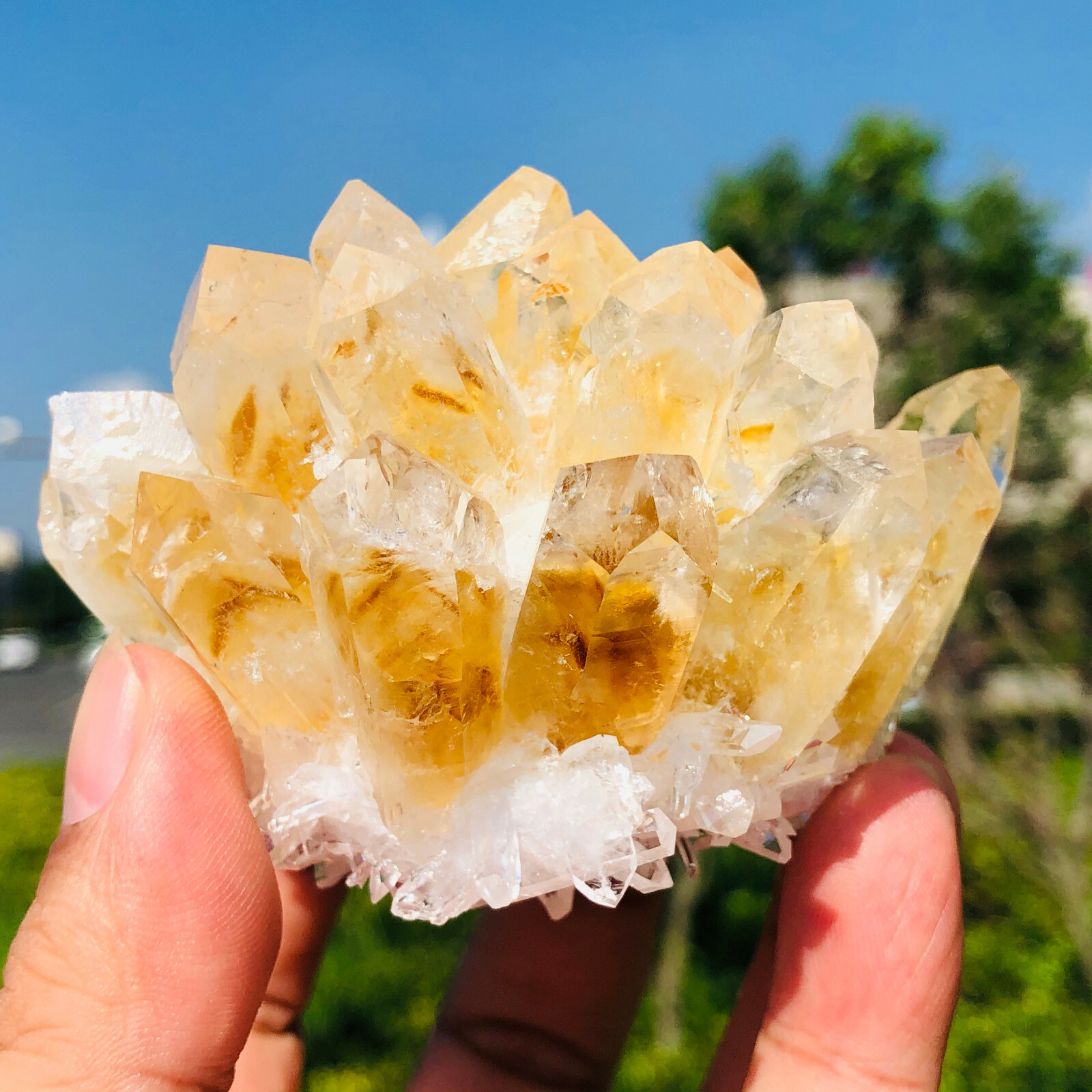300-400g Yellow Phantom Quartz Citrine Crystal Cluster Mineral Specimen Healing