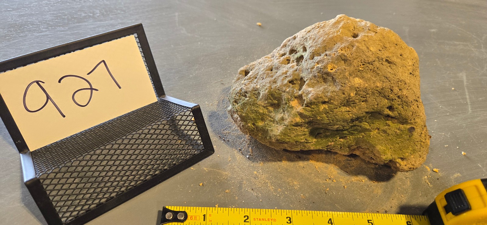 6″ Small Pumice Stone Floating Natural Rock Carnivorous Succulent Garden #927