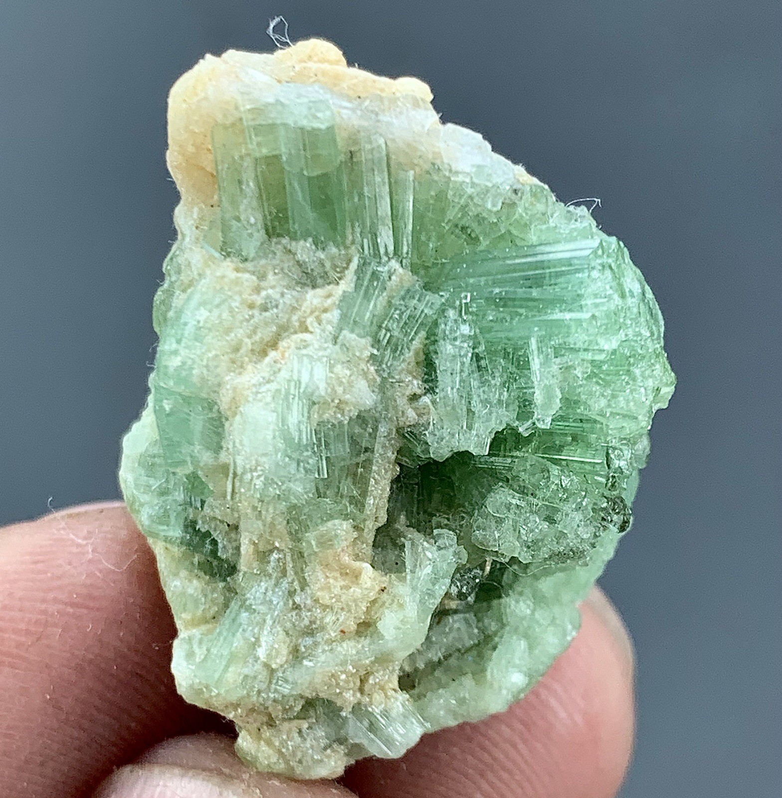 13.56 Gram Natural Tourmaline Crystal Bunch Specimen/ Afghanistan Mineral