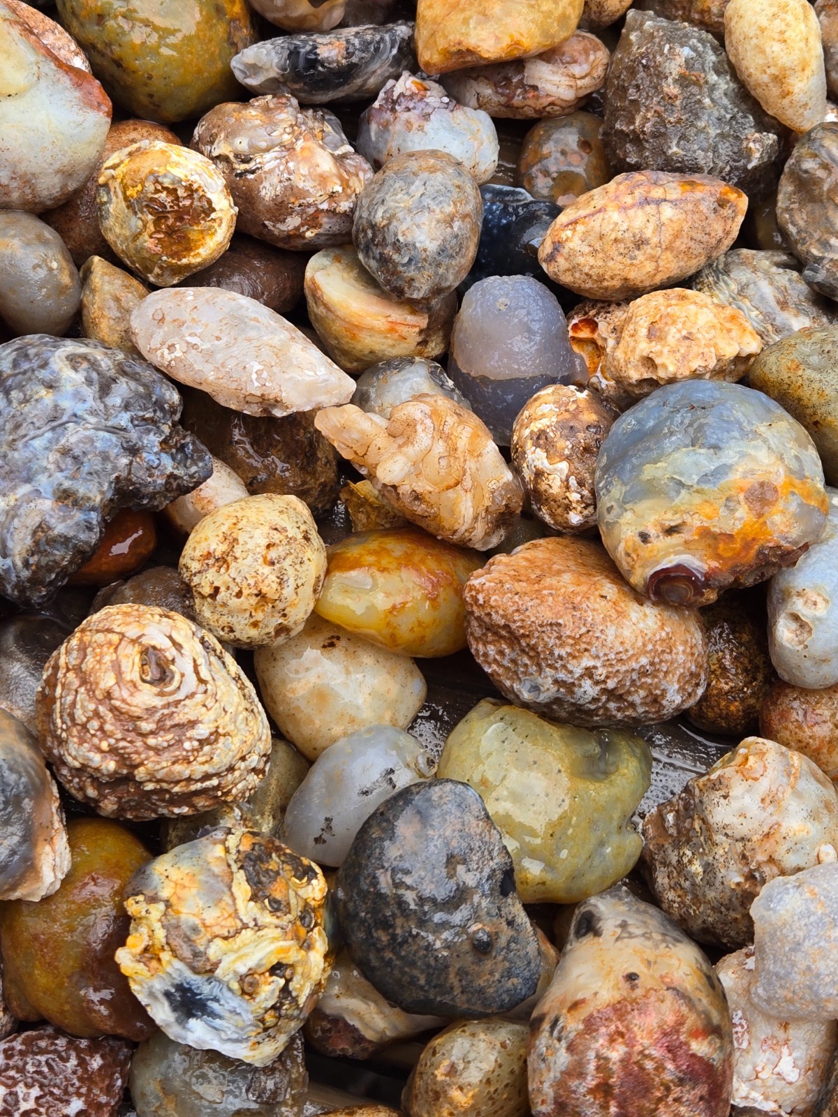 Oco Agate Geodes Whole – Mine Run Rough – 1 Pound Lb – Mostly Solid Agate