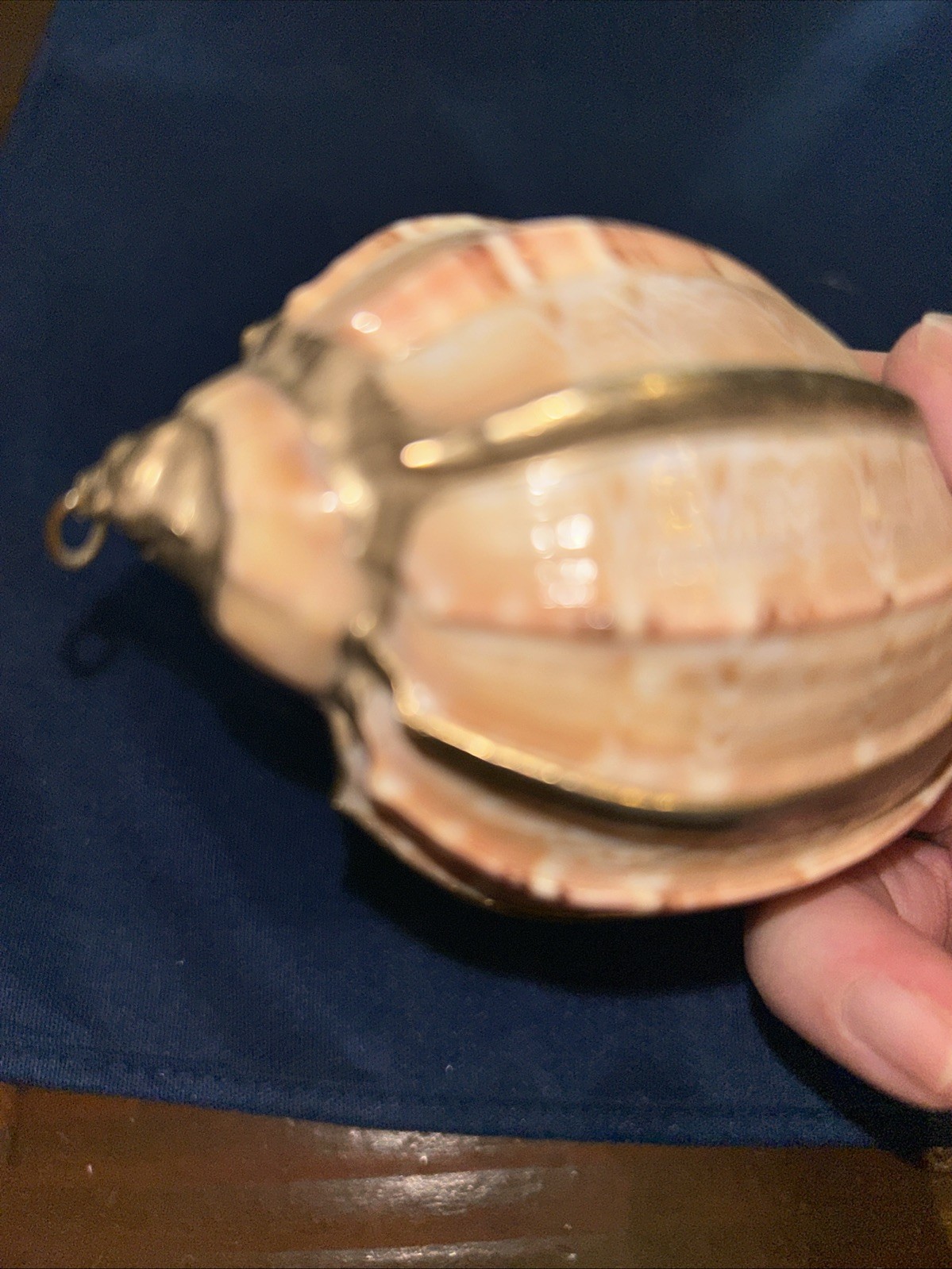 Vintage Extra LARGE Gold trimmed Shell. Pendant? See Pictures Beach House Decor