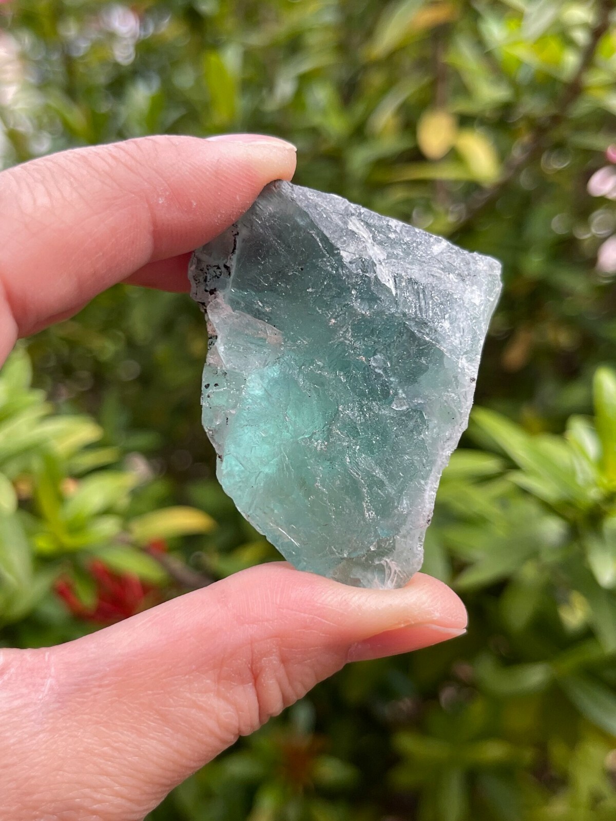 Large Green Fluorite Raw Natural Stone 2 – 2.5 inches, Wholesale Bulk Lot