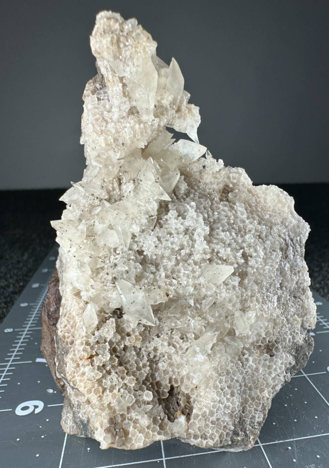 ➤4 Inch DOUBLE TERMINATED FOSSIL CORAL CALCITE CRYSTALS Pints Quarry VIDEO➤1073