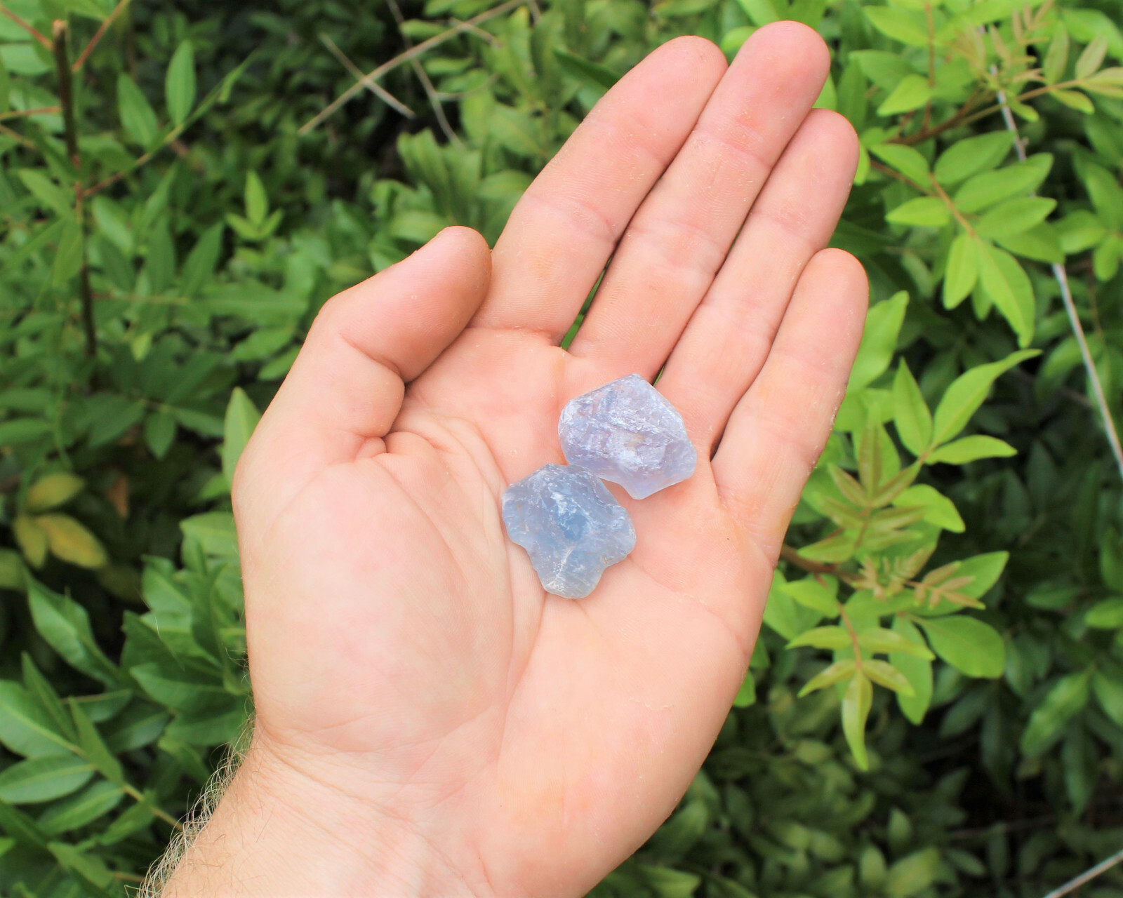 Celestite Rough Chips Natural: Choose Amount (Raw Celestite Crystals, Celestine)