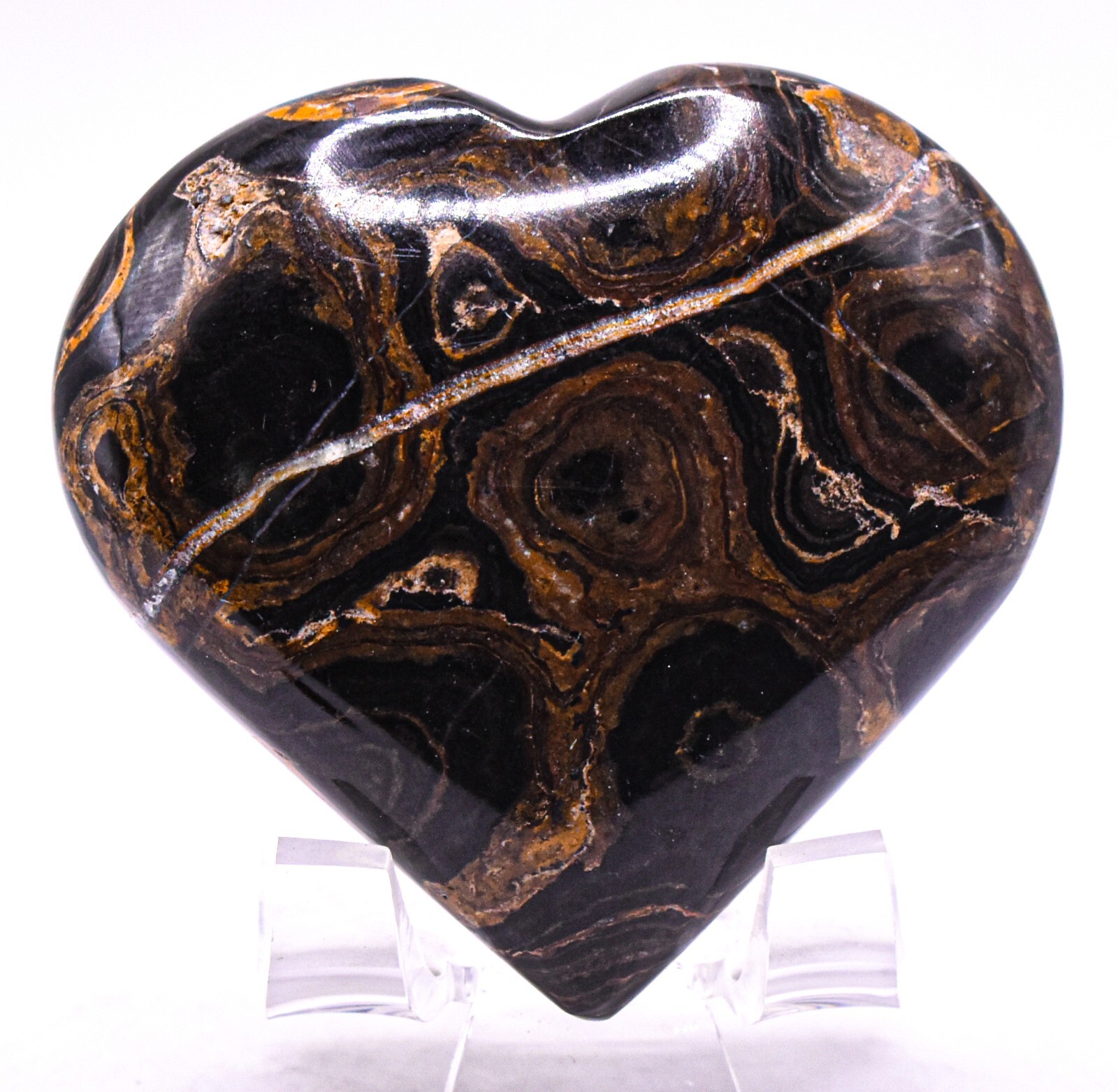 2.5″ Stromatolite Heart Polished Black Brown Algae Fossil Gemstone Mineral Peru