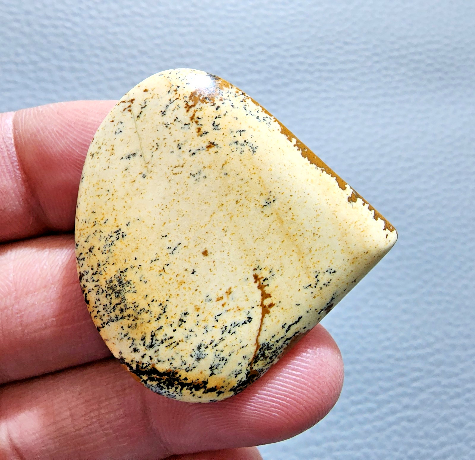 64ct Wonderful Picture Jasper Cabochon Oval Gemstone – Natural Jewelry Collector