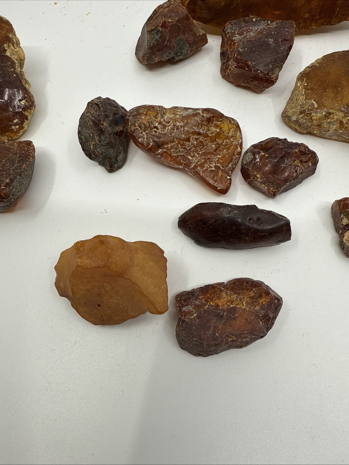 Huge Lot Of Piece Solid Amber Specimen Rough & Polished Raw Natural 214 Grams