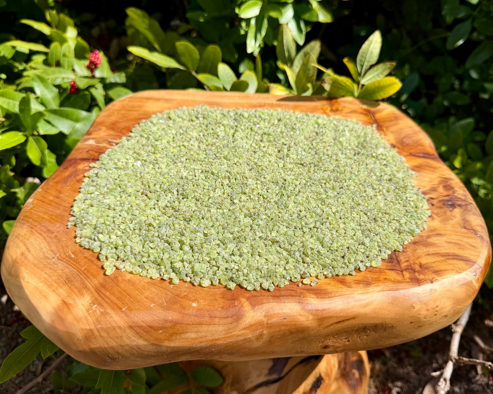 Peridot Semi Rough Gemstone Chips 2-4 mm Wholesale Lots (Natural Peridot Chips)