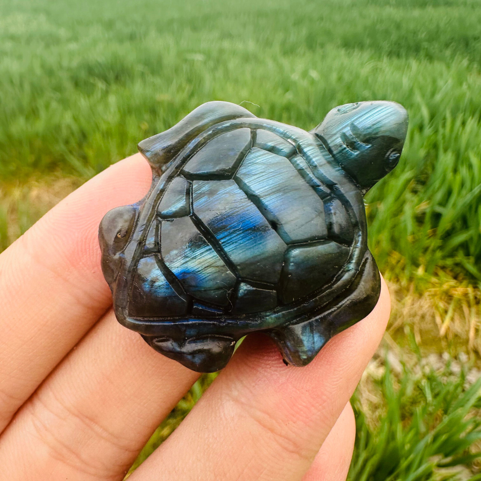 Natural Labradorite Hand Carved Turtle Quartz Skull Crystal Reiki Healing Gift