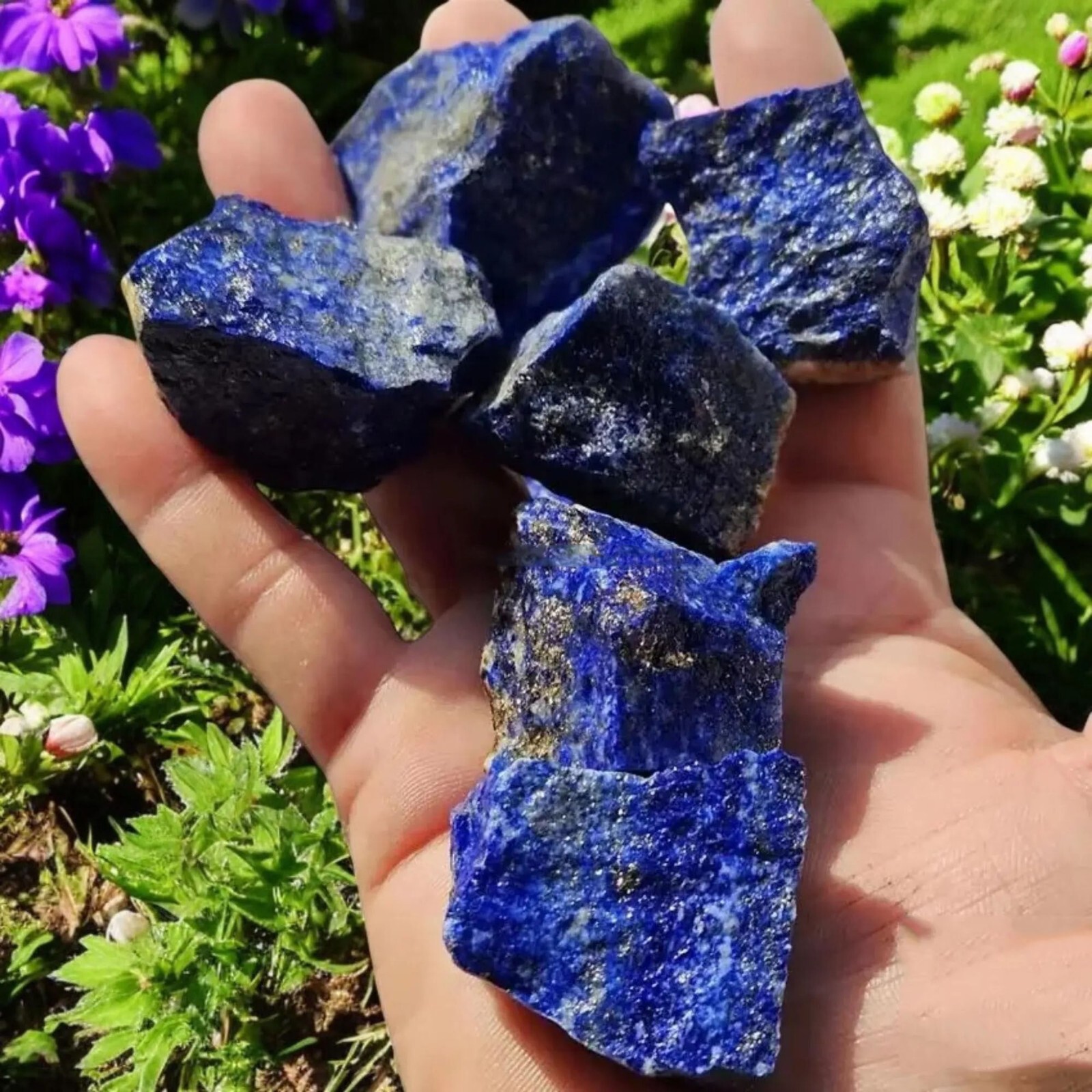 3pcs Natural Raw Lapis Lazuli Crystal Rough Healing Energy Stone Specimens Rocks