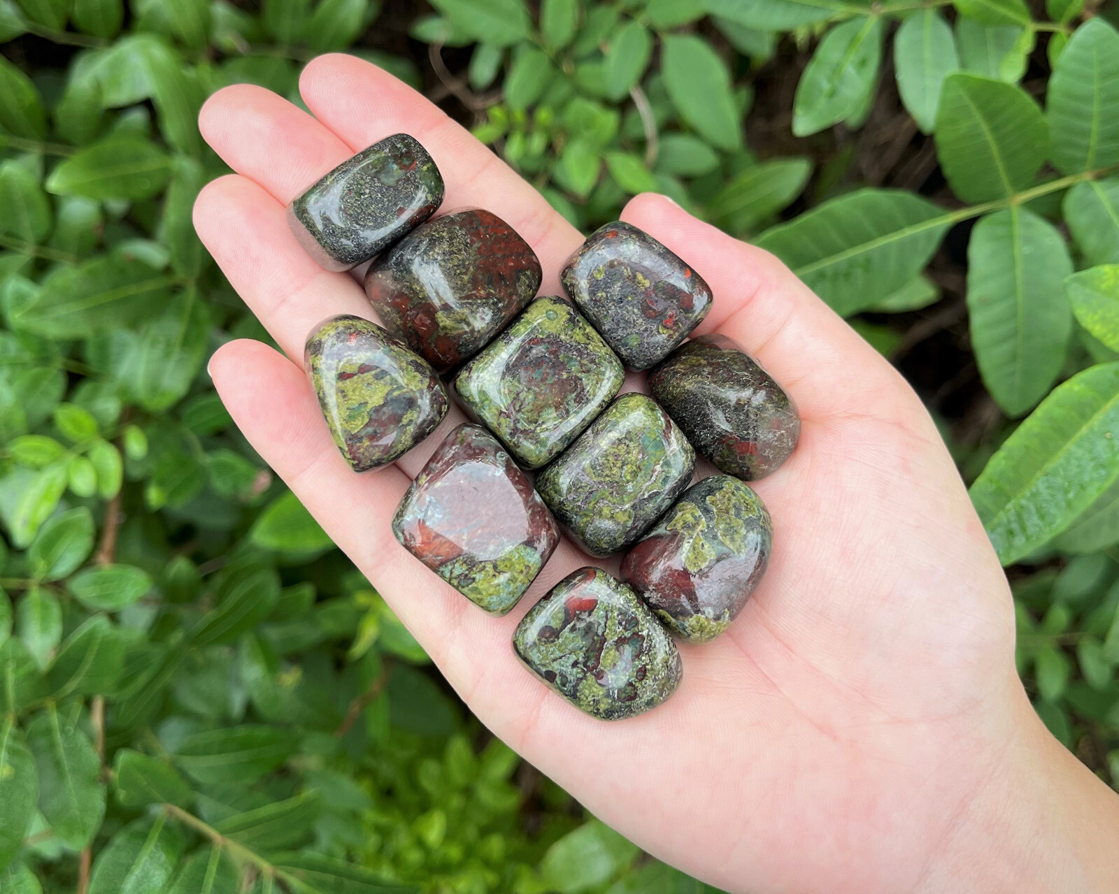 Dragons Blood Jasper Tumbled Stones: Choose How Many Pieces (Dragon Stone)