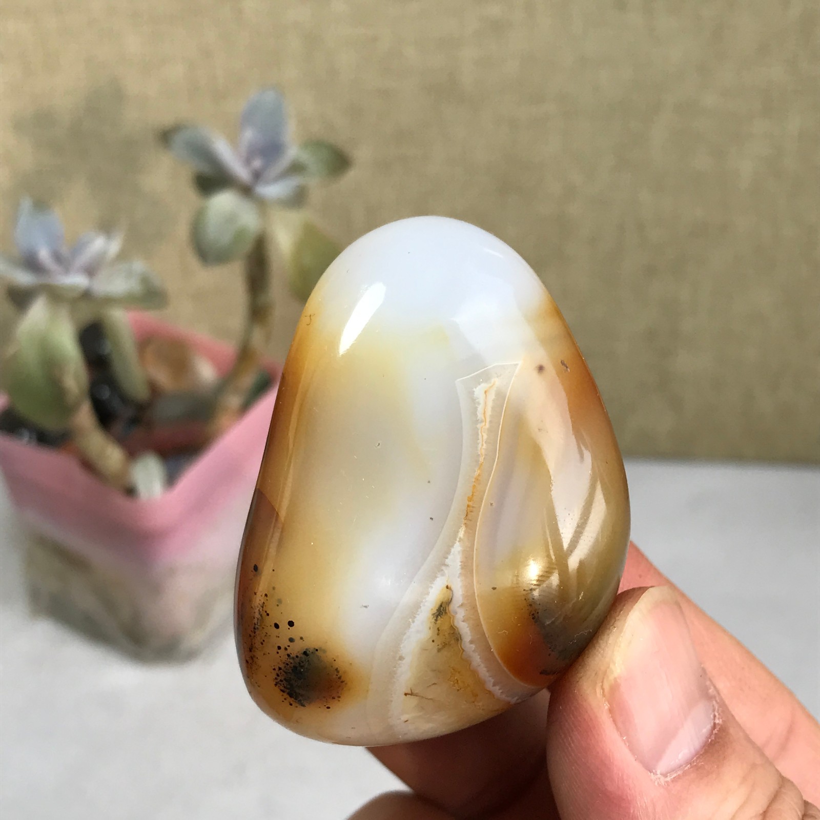 54-38-27mm Natural aquatic plants agate pretty Crystal specimens 79g A2379