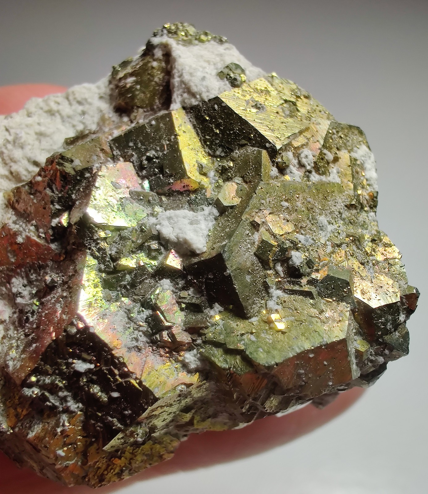 Iridescent Chalcopyrite crystal specimen. Klein Quarry, Iowa. 4 cm.