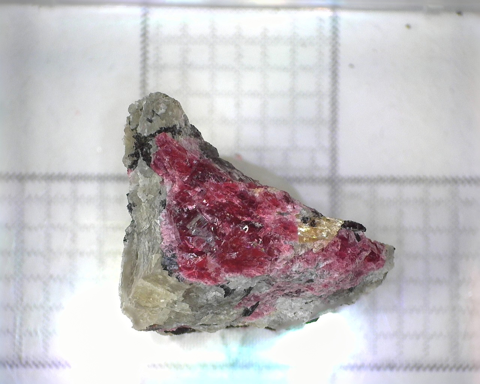 05146 MM Eudialyte MD002662 Rasvumchorr Mt Khibiny Massif Russian Federation