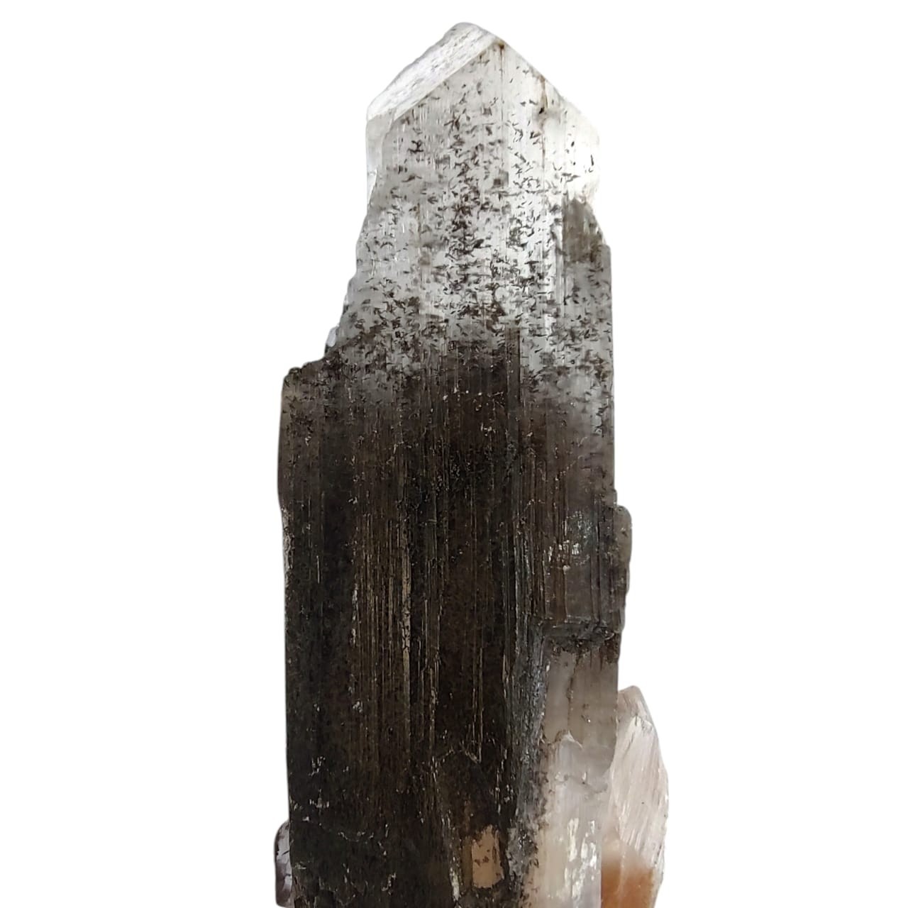 0.79 lbs Rare Ferro Selenite Master Crystal – Phantom Gypsum w Black Iron Oxide
