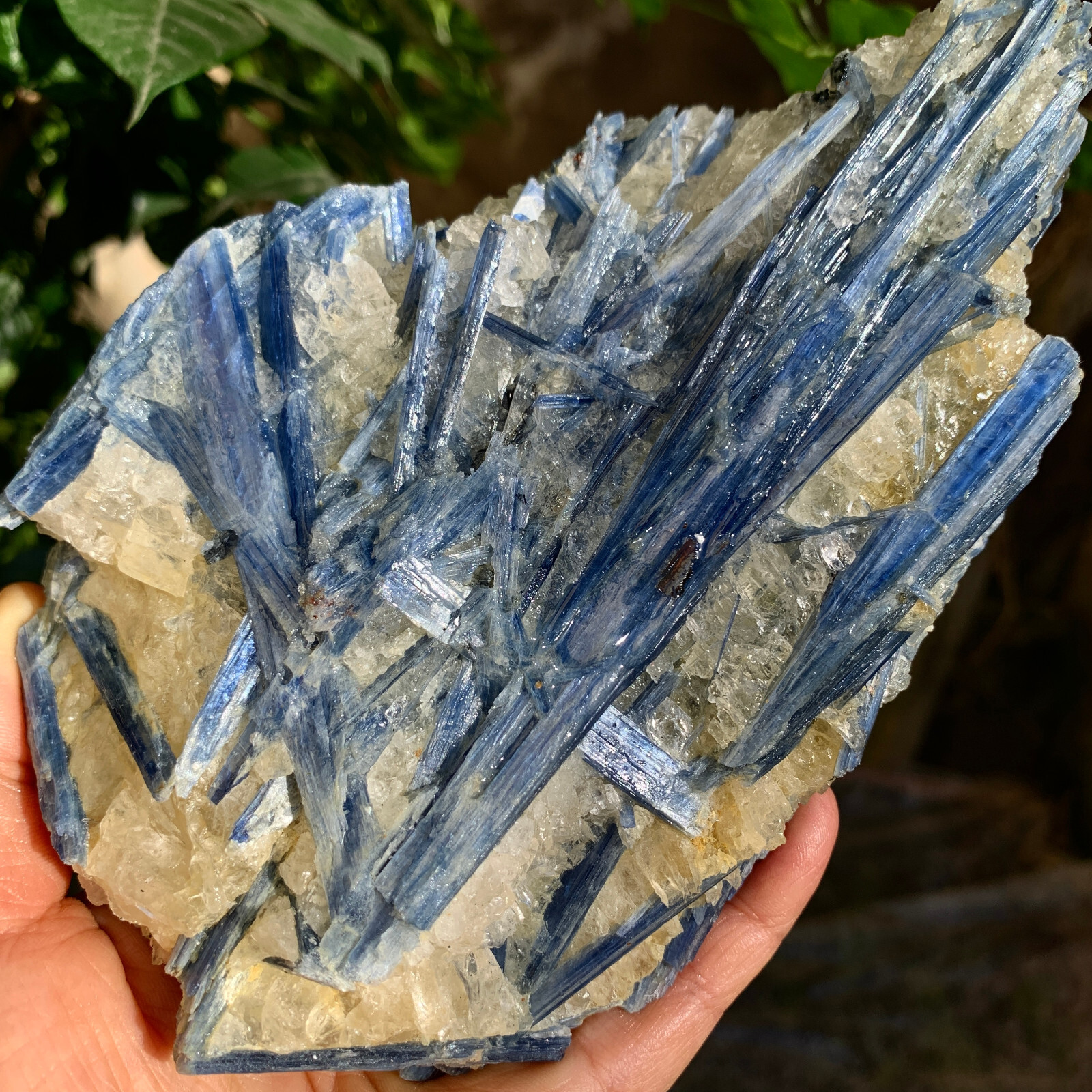 2.24LB Natural beautiful Blue KYANITE with Quartz Crystal Specimen Rough