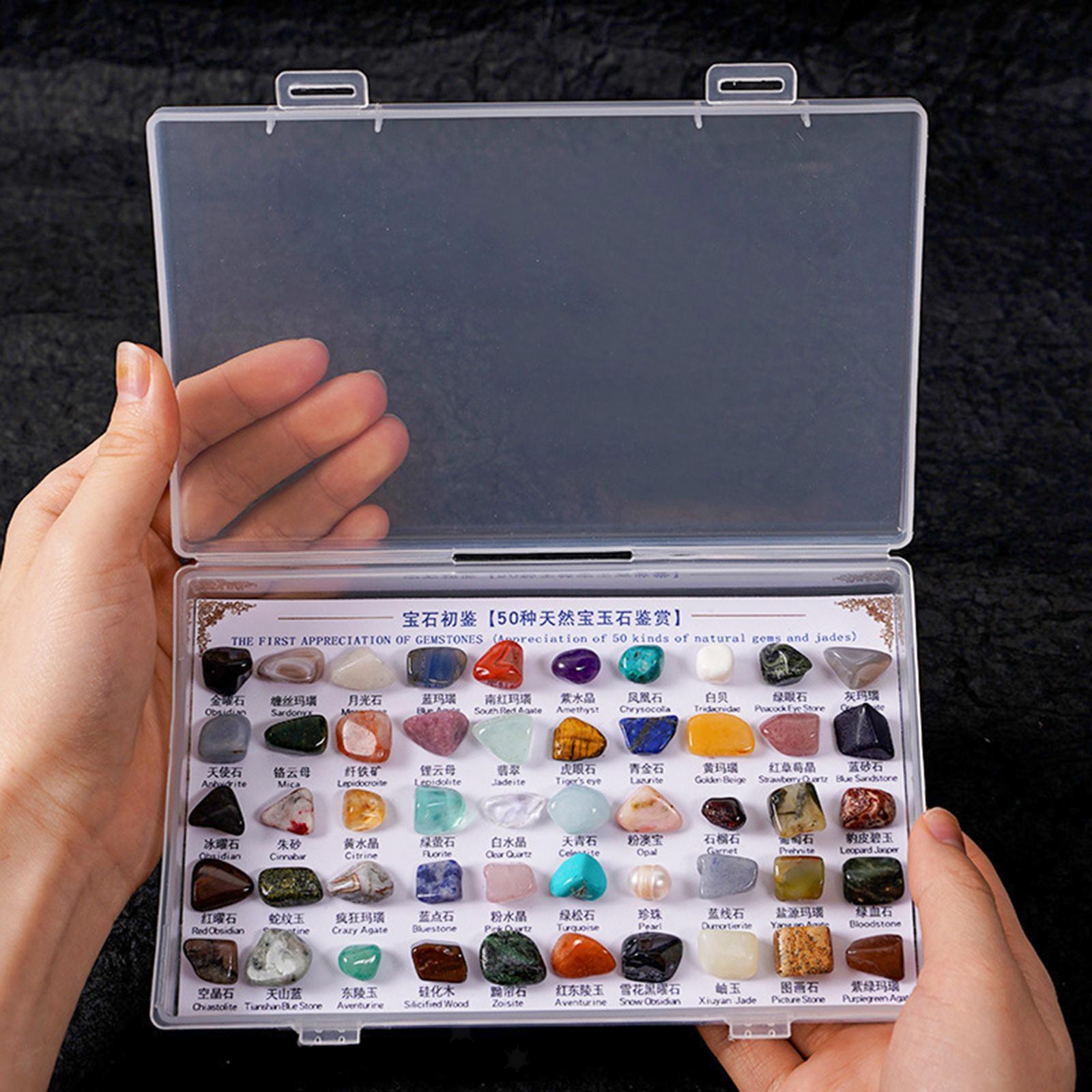 50 Pieces Rocks Collection for Kids Mineral Stones for Display Indoor Craft