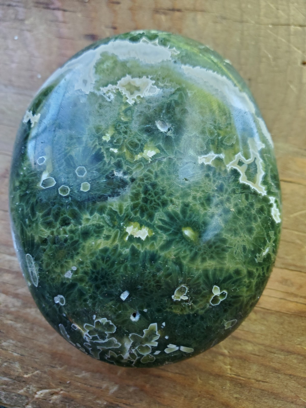 Natural Mexico Crazy Lace Agate w Druzy Quartz Crystal Palm Stone Specimen