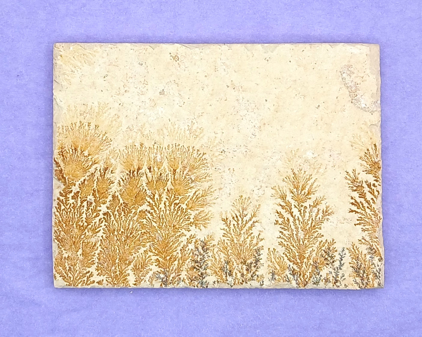 Manganese Oxide Dendrites Plaque 80mm Bavaria Germany in Presentation Box