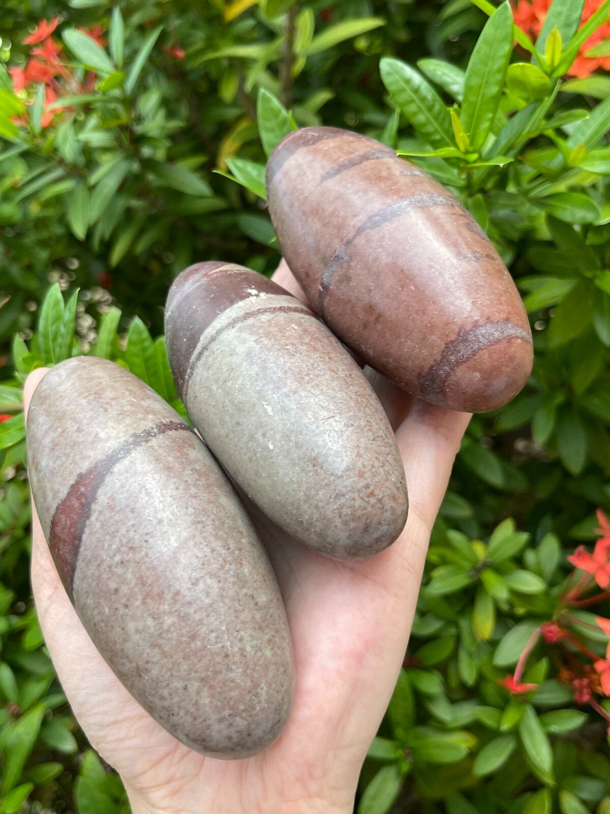 2″ 3″ 4″& 6″ Shiva Lingam Stone,Shiva Lingam Sacred Stone,Palm Stone,Pick A Size