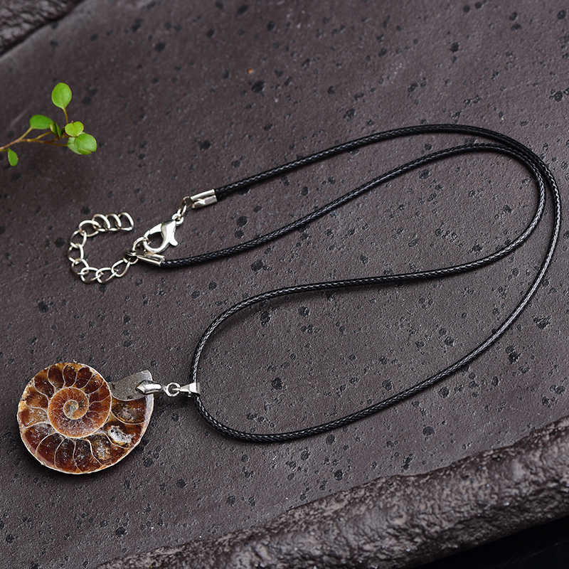 10Pcs Natural Quartz Conch Fossil Shell Crystal Pendant Unisex Necklace Decor