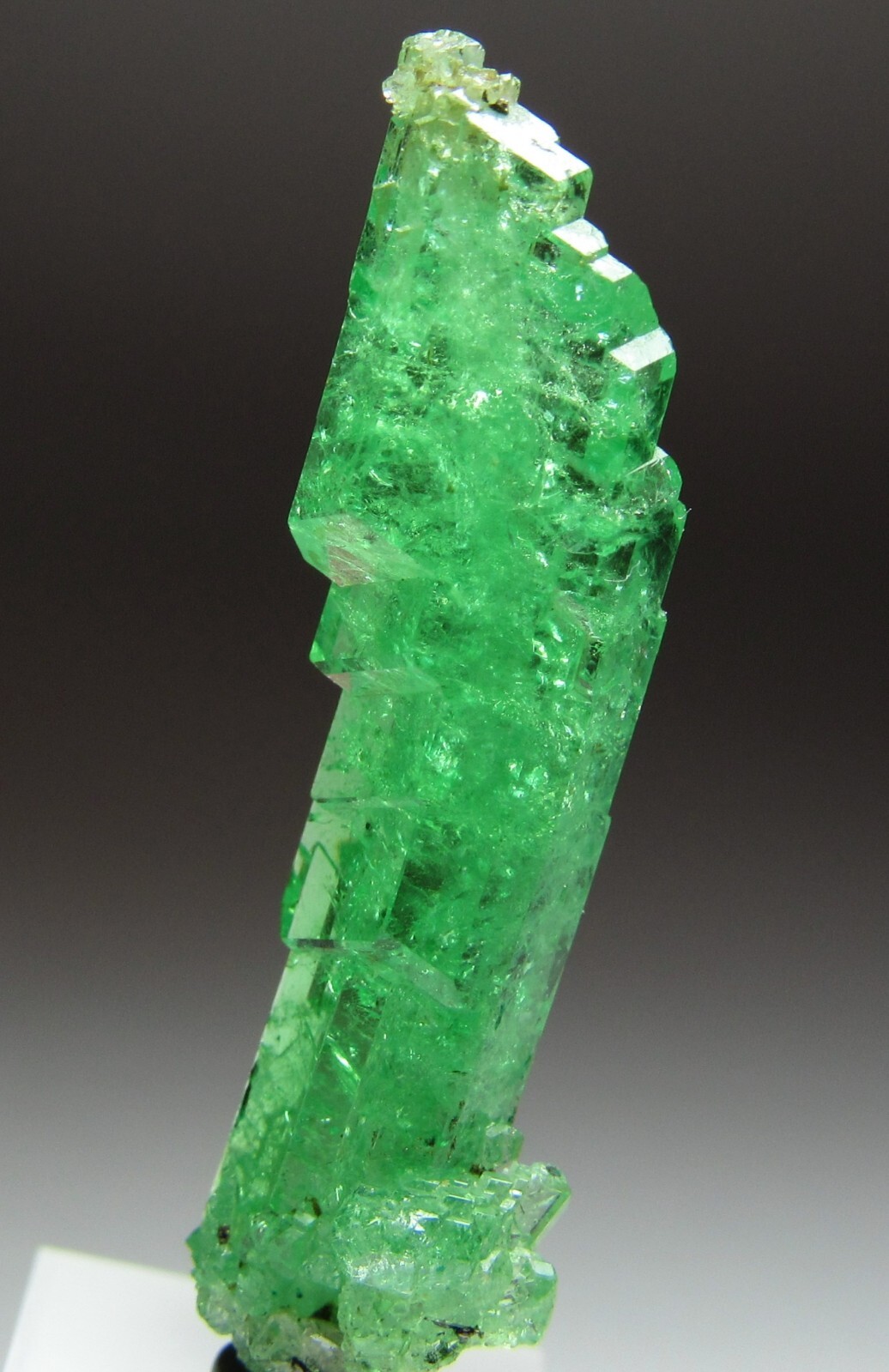 UNSURPASSED ELITE LIGHTNING BOLT TSAVORITE GROSSULAR GARNET CRYSTAL!!! TANZANIA