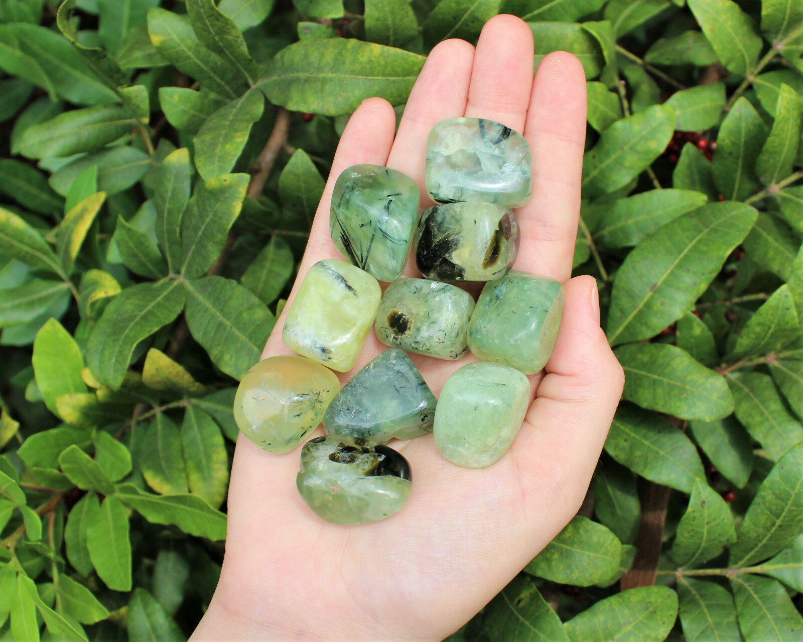1/4 lb Prehnite with Epidote Tumbled Stones (Crystal Healing Reiki) 4 oz