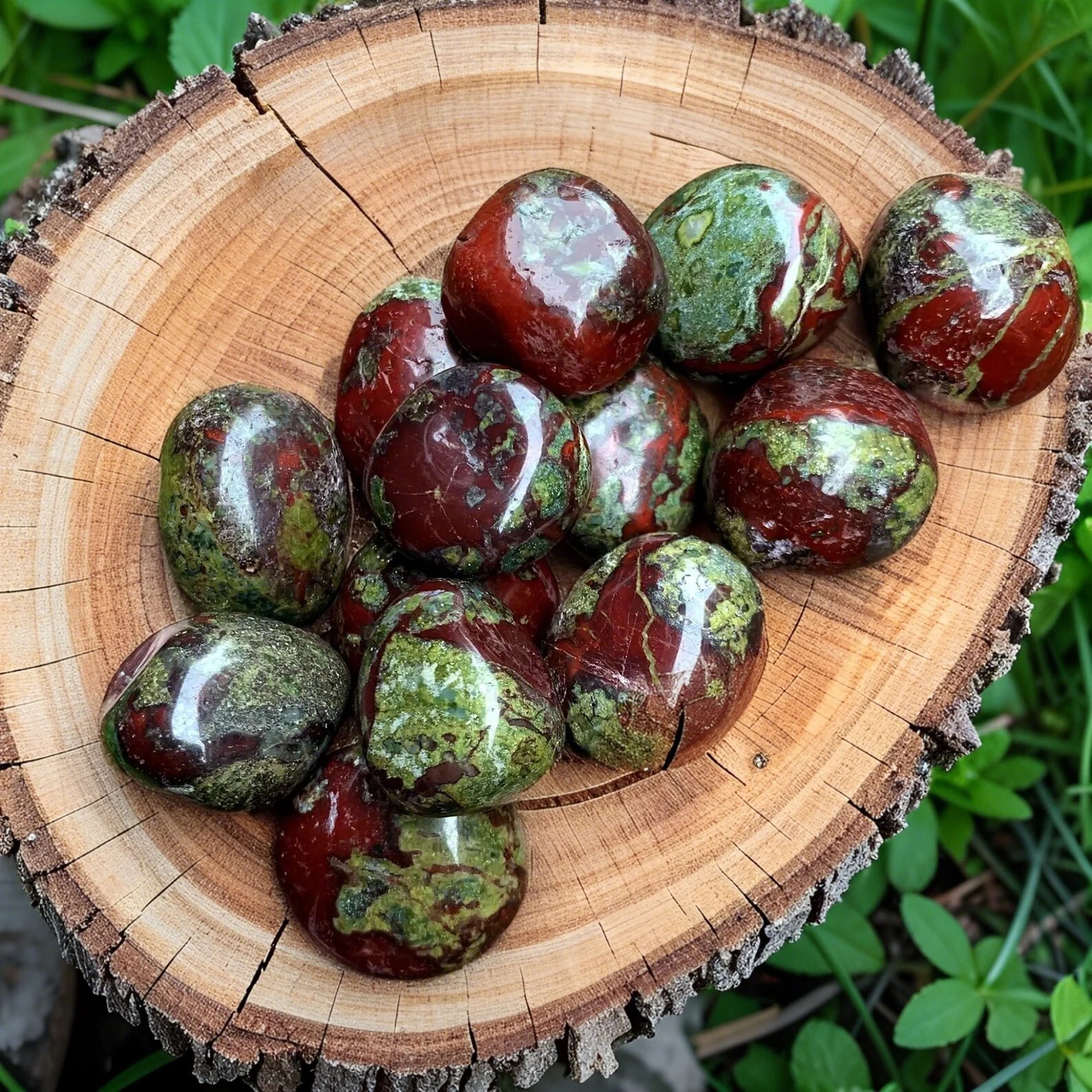 Natural Tumbled Dragon Bloodstone Healing Crystal Mineral Specimen Gemstone Gift