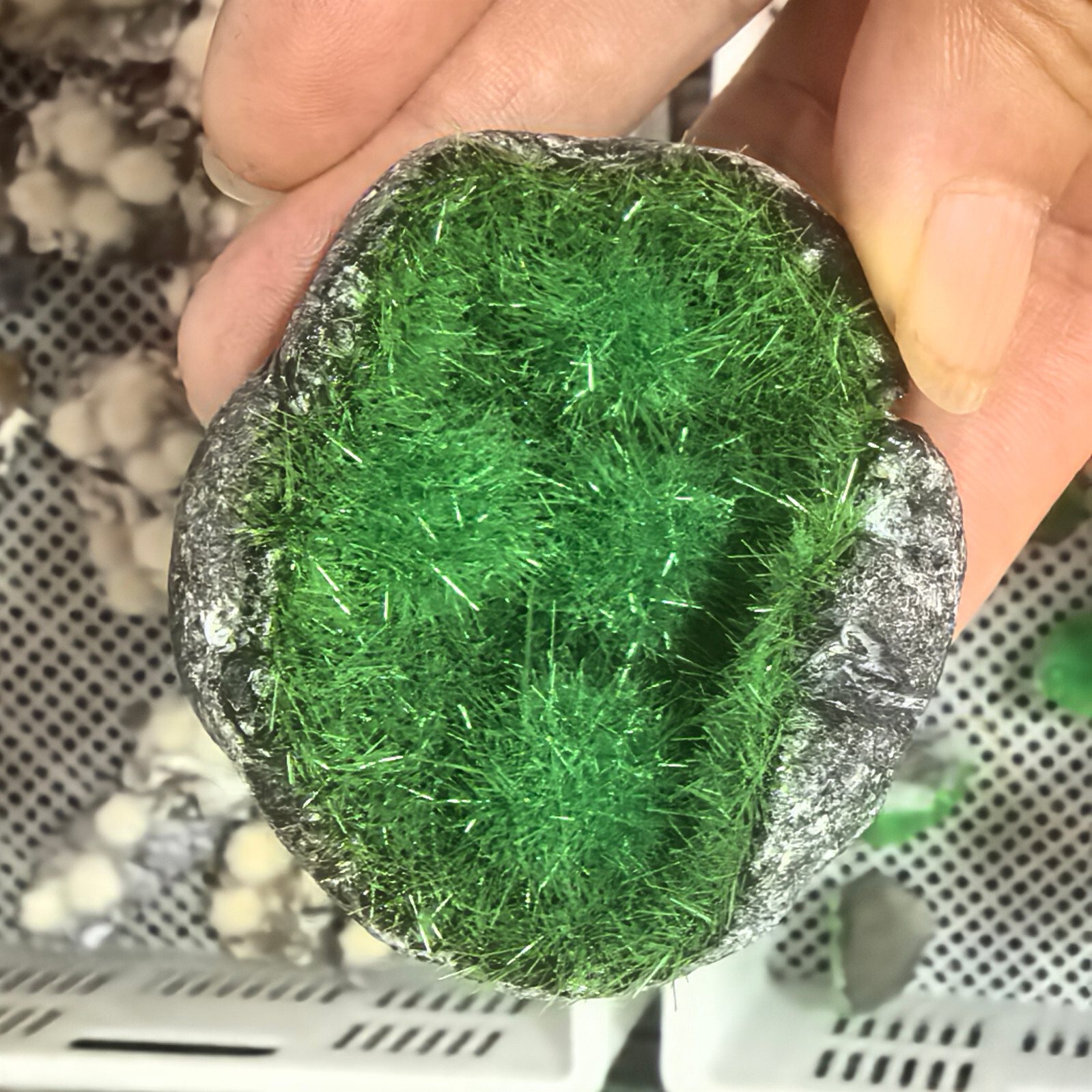 Meteorite Quartz Crystal Specimens Goethite green Copper Ore Clusters Gifts 1pc