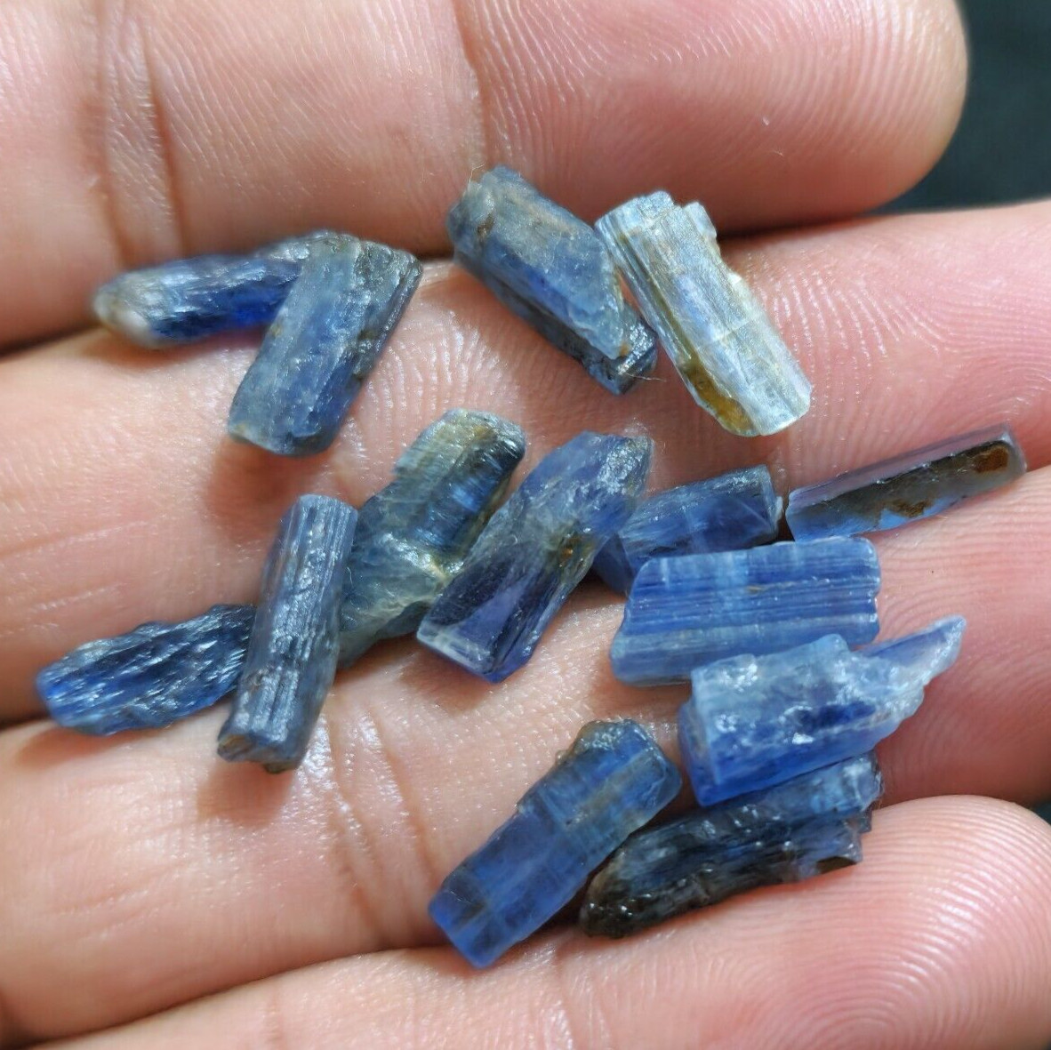 Amazing Blue Kyanite Raw 14 Pcs Lot Size 11-15 MM Loose Gemstone For Jewelry