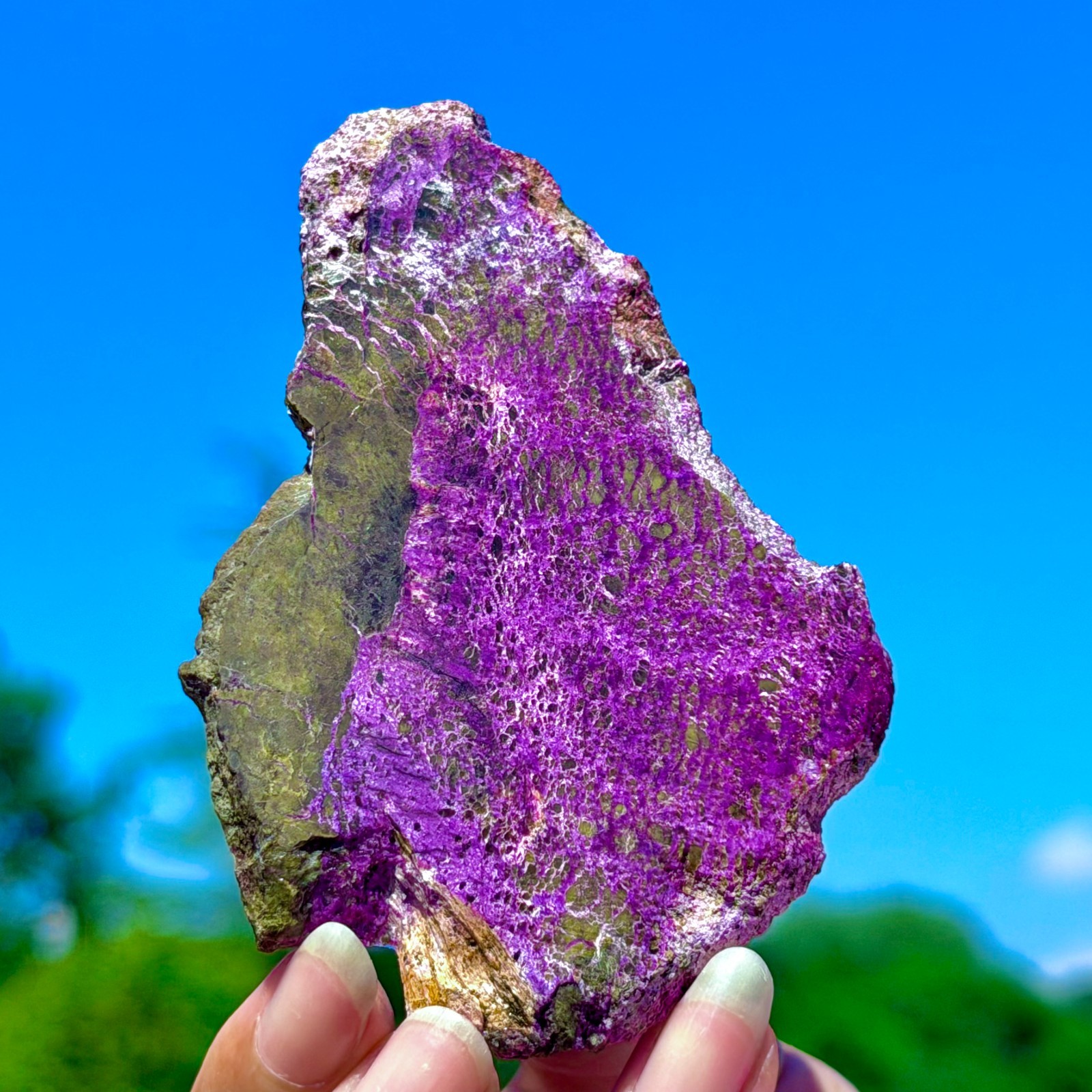 48G Namibia Natural Metallic Purple Purpurite Crystal Slice Extra Large Gem