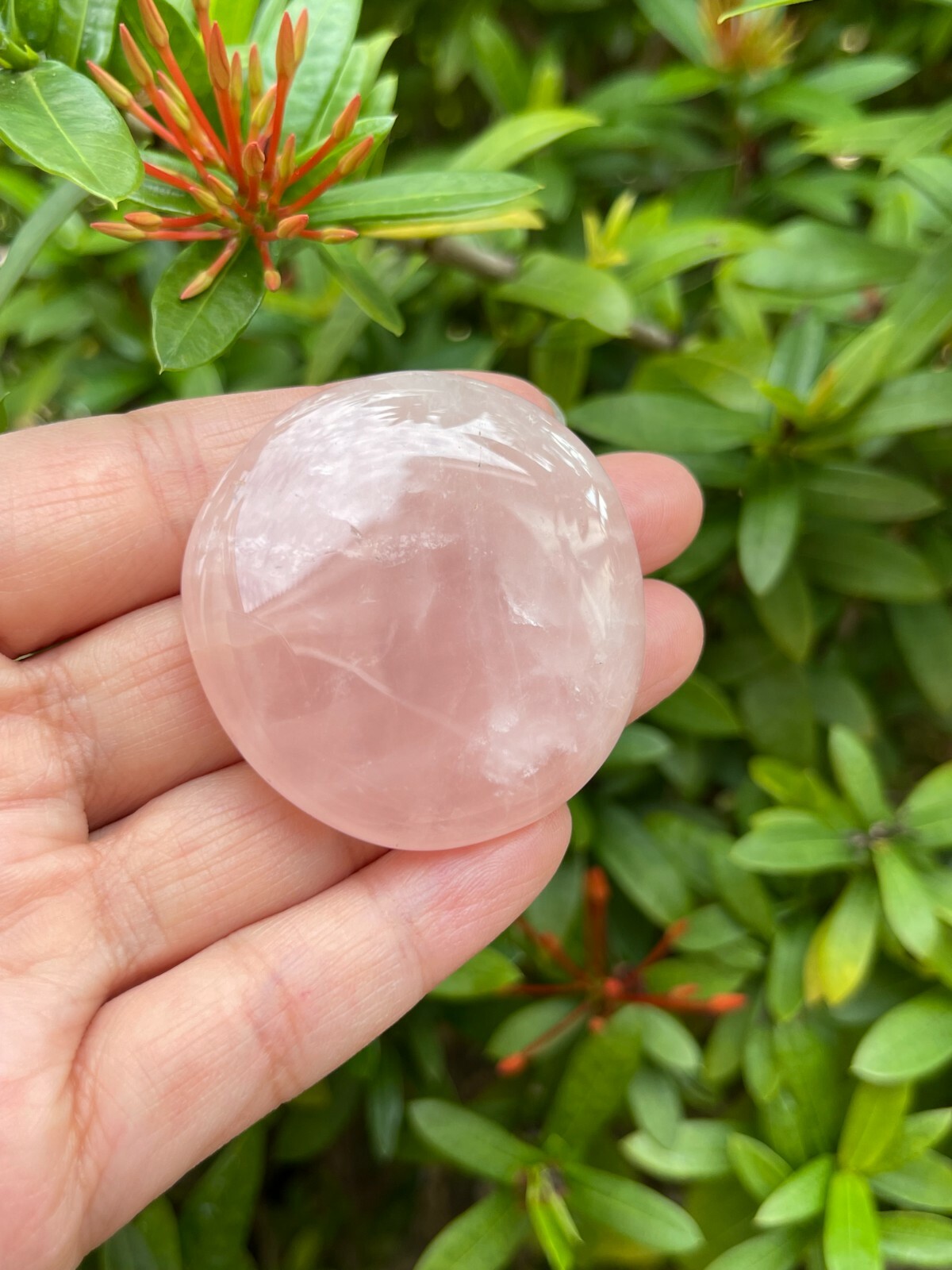 Rose Quartz Smooth Stone,1.5″-2″ Polished Rose Quartz Palm Stone, Wholesale Lot